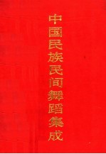 中国<em>民族</em>民间舞蹈集成  河南卷  下