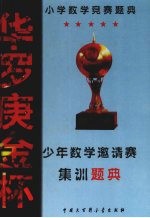 华罗庚金杯少年数学邀请赛集训题典  小学数学竞赛题典