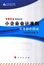 小企业<em>会计</em>准则  <em>实务</em><em>操作</em>指南