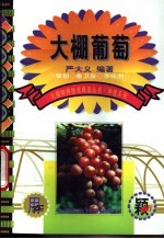 <em>大棚</em>葡萄