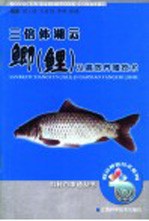 三倍体湘江云鲫  鲤  及高效养殖技术