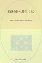 初级会计电算化  上