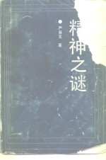 精神之谜  全息精神学