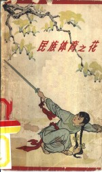 民族体育之花  谈谈新中国的武术运动