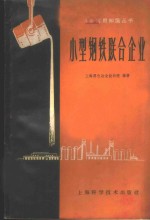 小型钢铁联合企业