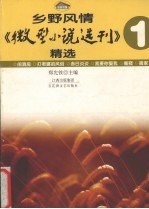 乡野风情·《微型小说选刊》精选  1