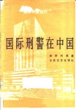 国际武警在中国