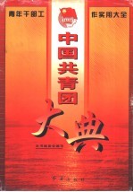 中国共青团大典  青年干部实用工作大全