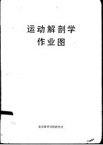 运动<em>解剖</em>学作业图