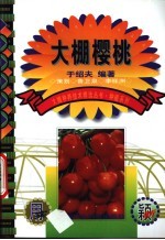 <em>大棚</em>樱桃