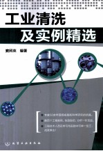 <em>工业</em><em>清洗</em>及实例精选