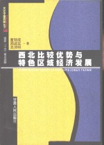 西北比较优势与特色区域经济发展