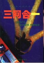 三网合一  中国电讯产业发展战略<em>研究</em>