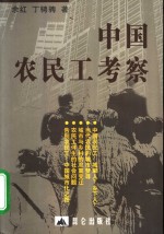 中国农民工考察