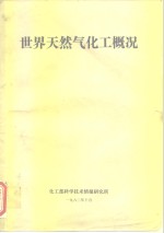 世界天然气<em>化工</em>概况