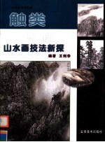 触类旁通  中国画技法新解  山水画技法新探