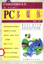 <em>PC</em>多媒体