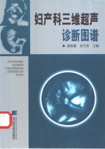 妇产科三维超声诊断图谱