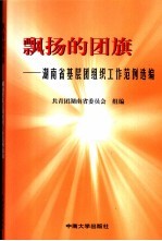 飘扬的团旗  湖南省基层团组织工作范例选编