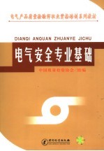 电气安全<em>专业</em><em>基础</em>