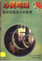 给你说我长大的故事  青春版