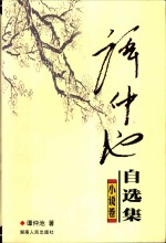 谭<em>仲池</em>自选集  小说卷