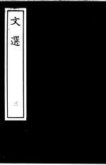 文选  3