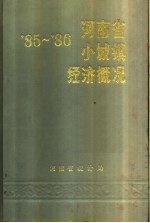 河南省小城镇经济概况  1985-1986