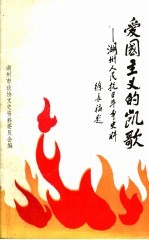 爱国主义的凯歌：<em>湖州</em><em>人民</em>抗日斗争史料  《<em>湖州</em>文史》第13辑