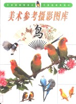 美术参考摄影图库  鸟