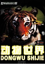 <em>世界</em>探索<em>发现</em>之旅  动物<em>世界</em>