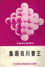 王书川<em>自选</em>集