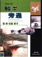触类旁通  中国画技法新解  猫·狗·松鼠·猴子