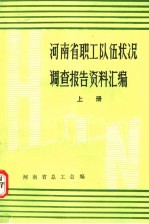 河<em>南省</em>职工队伍状况调查报告资料汇<em>编</em>  上
