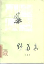 野菊集
