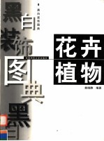 黑白装饰图典  花卉植物