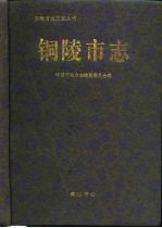 铜陵<em>市志</em>
