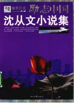 <em>沈<em>从文</em></em>小说集