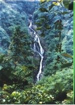 陆川<em>县志</em>