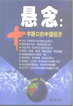 悬念  十字路口的中国经济