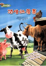 开心农场  陌生的蓓蒂