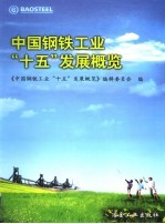 中国钢铁<em>工业</em>“十五”发展概览