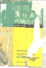 实用消化系病内镜治疗学