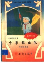 <em>少年</em>铁血队