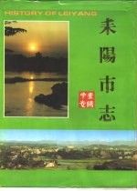 耒阳<em>市志</em>