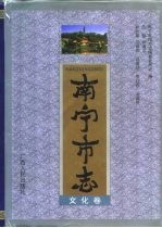 <em>南宁</em>市志  文化卷