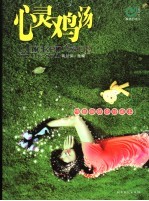 心灵鸡汤  吻银版炫亮珍藏本
