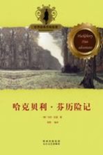 哈克贝利·<em>芬</em>历险记