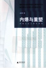 内爆与重塑  网络文化主体性研究