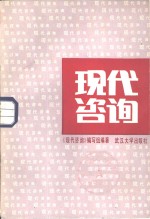 <em>现代</em>咨询